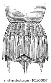 Old engraved illustration of plateskirt isolated on a white background. Dictionary of words and things - Larive and Fleury
