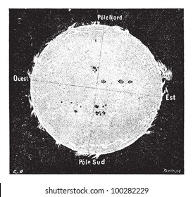 Old engraved illustration of the Sun with solar disk protrusions observed in Rome, July 1871, from spectroscope at The College of Equatorial Romain. Dictionary of words and things Larive and Fleury