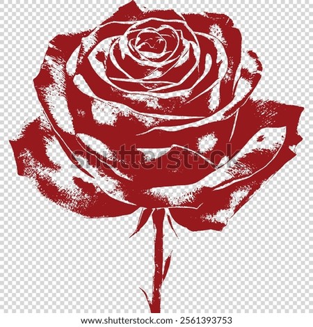  Old engraved rose, rose vector, vintage engraved illustration.
