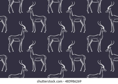 Old engraving antelope. Vector illustration seamless pattern. White and black. African animals.