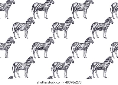 Old engraving zebras. Vector illustration seamless pattern. White and black. African animals.