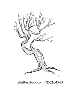 old fairy tree  on white background, scratch,  vector