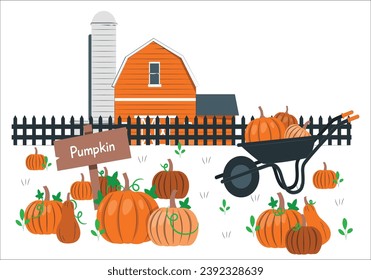 Old farm house by trees by Pumpkin Patch in Oregon during fall harvest season. traditional pumpkin patch. Holiday pumpkin picking on a farm with a vintage truck, scarecrow, red barn, fence. 2476