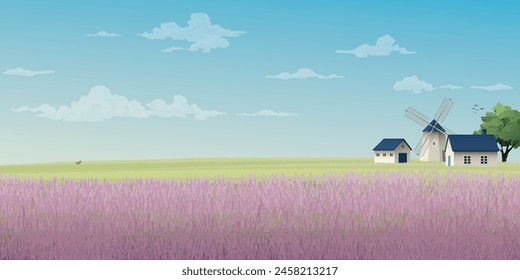 Old farm windmill in lavender field side view with blue sky background vector illustration have blank space. Countryside concept with purple flowers field. 