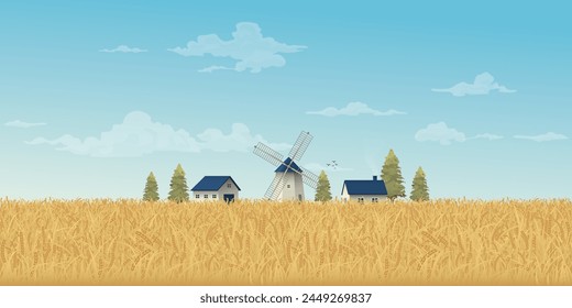 Old farm windmill in wheat field with blue sky background vector illustration have blank space. Countryside concept with gold colors barley field. 