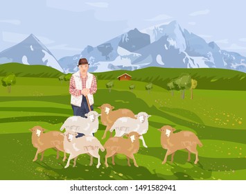 Old farmer sheep Vector. Landscape background mountains view