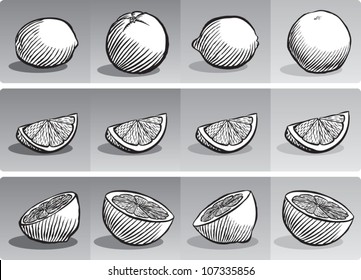 Old fashioned etched style illustration of various citrus fruit, depicted whole, sliced into a wedge, and sliced in half, all in black and white.