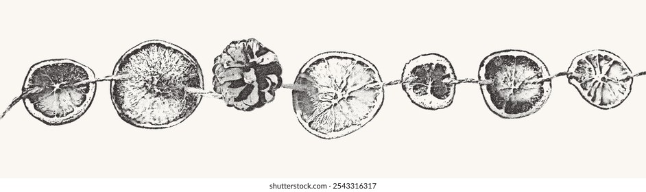 Old fashioned garland with dried orange slices illustration