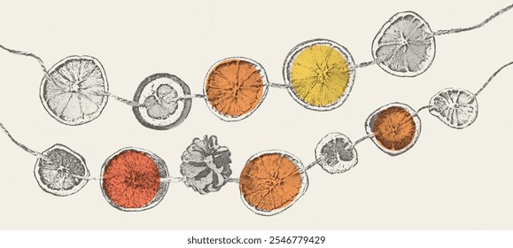 Old fashioned garland with dried orange slices illustration