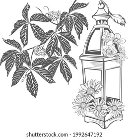 Old fashioned lantern with flowers and virginia creeper. Vector image
