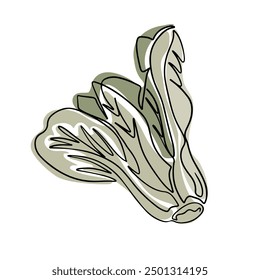 Old fashioned outline drawing of pak choi in boho style. Botanical single line retro drawing of green vegetable. Contour line outline composition isolated on white background.