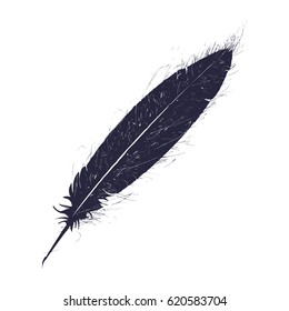 Old feather pen, vector icon