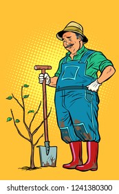 old gardener plants a seedling. ecology and gardening. trees and garden tools. Pop art retro vector illustration vintage kitsch