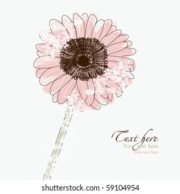 Old Gerbera Daisy flower, retro style