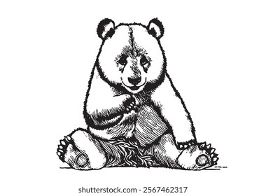 Old giant panda on white background illustration Artist