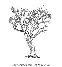 Old gnarled tree from dark forest thicket black and white sketch in simple style vector illustration. Halloween, autumn and witchcraft theme.