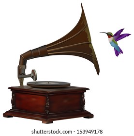 Old gramophone and colorful hummingbird listening to music