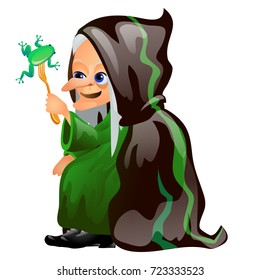 Old gray-haired witch in a black cloak eats with a fork frog isolated on white background. Sketch for a poster or card for holiday of all evil spirits Halloween. Vector cartoon close-up illustration.