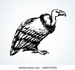 Old griffin gryphus eagle on light sky backdrop. Freehand outline black ink hand drawn aegypius claw logo pictogram design in retro art doodle engrave print style pen on paper text space. Closeup view