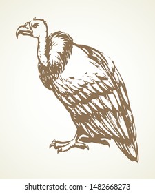 Old griffin gryphus eagle on light sky backdrop. Freehand outline black ink hand drawn aegypius claw logo pictogram design in retro art doodle engrave print style pen on paper text space. Closeup view