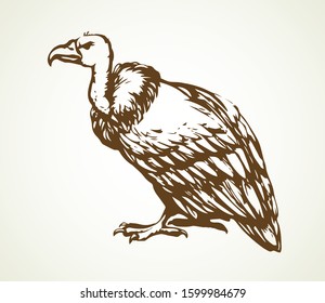 Old griffin gryphus eagle on light sky backdrop. Freehand outline black ink hand drawn aegypius claw logo pictogram design in retro art doodle engrave print style pen on paper text space. Closeup view