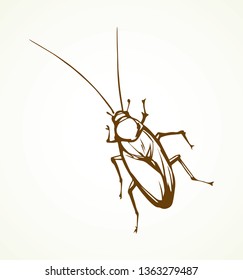 Old gross home Blattodea termite cucaracha moth on white backdrop. Black line ink hand drawn insecta logo pictogram in retro art doodle engrave style pen on paper space for text. Closeup outline view
