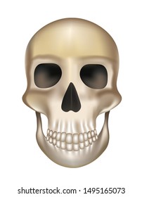 Old human skull. vector illustration