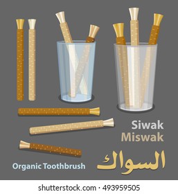 Old islamic traditional natural toothbrush Miswak or Siwak (Text on arabic). Salvadora persica tree twig. Symbol of arabic culture.