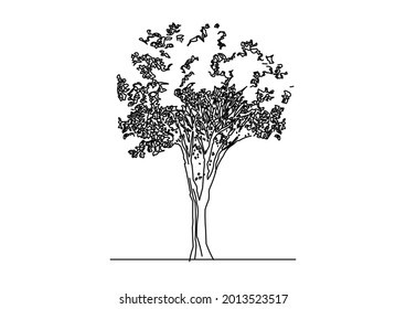 Old jungle tree sketch vector design