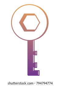 old key icon image
