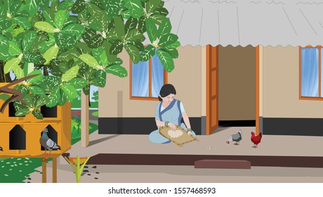 The old lady cleans rice with a pair of chicken vector illustration