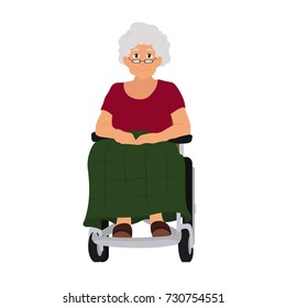 the old lady is sitting in a wheelchair. vector illustration isolated on white background.