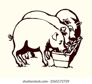 Old larg male potbelly dirt snout nose stand home pigsty barn butcher idea concept set white yard mud. Outline dark black line hand drawn retro art cultivate small fatty belly female baby porker muzzl