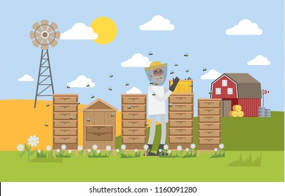 Old male beekepeer standing in the apiary and collecting honey. Natural organic honey on the farm. Vector flat illustration