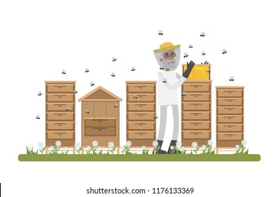 Old male beekepeer standing in the apiary and collecting honey on the farm. Natural organic product. Isolated vector flat illustration