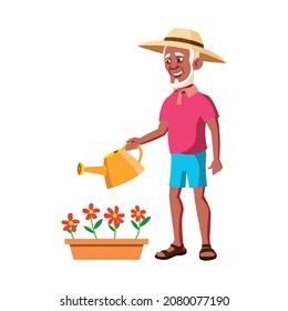 el viejo jardinero regando flores en el vector de dibujos animados de jardín. el anciano jardinero regando flores con carácter de jardín. ilustración de dibujos animados planos aislados