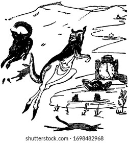 Old Man Kangaroo, vintage illustration