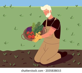 old man picking a vegetables cartoon