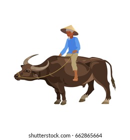 Old man riding water buffalo. Vector illustration on the white