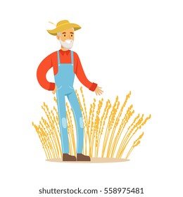 Old Man With Wheat Ear Crops, Farmer Working At The Farm And Selling On Natural Organic Product Market