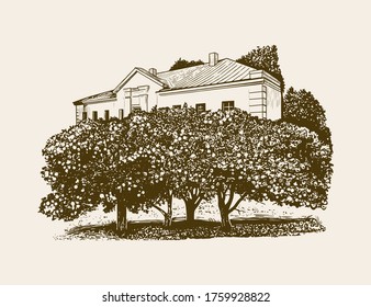 
Old manor and apple orchard. Vintage vector illustration. Engraving style.
