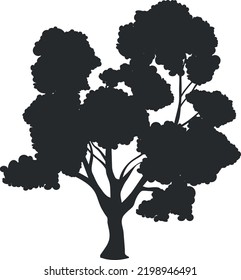 Old maple silhouette. Big black tree. Botanical element