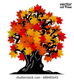 Old maple tree with crimped branches, a hollow, knotty roots. Tattoos, doodling style. Element for Halloween design, print on the T-shirt, souvenir products.