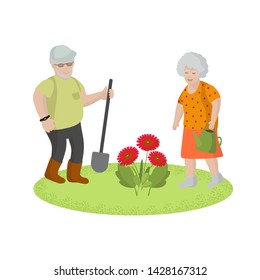 Old men work in garden, plant flowers, healthy lifestyle, active old age, nature walks, concept, flat style, postcard, vector illustration