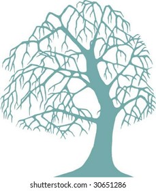 old naked apple tree, vector illustration