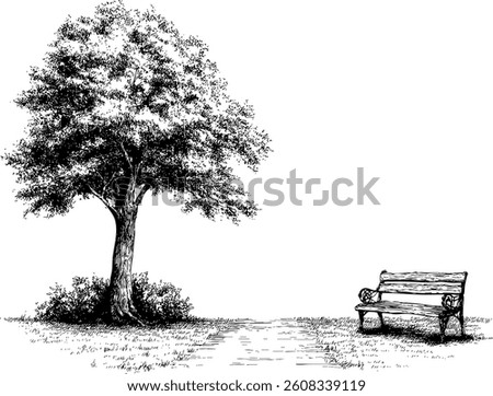 Old oak with an empty bench under it, a vector illustration, hand -drawn.