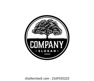 Old Oak Maple Tree Silhouette on the Park Residential landscape Hand Drawing Symbol Vintage Stamp Seal Logo Vector