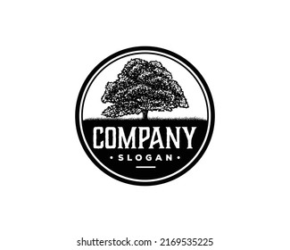 Old Oak Maple Tree Silhouette On Stock Vector (Royalty Free) 2169535225 ...