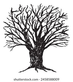 Árbol de roble viejo desnudo silueta única boceto Vector dibujado a mano ilustración aislado en blanco