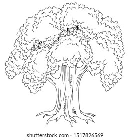 Old oak tree graphic black white isolated sketch illustration vector